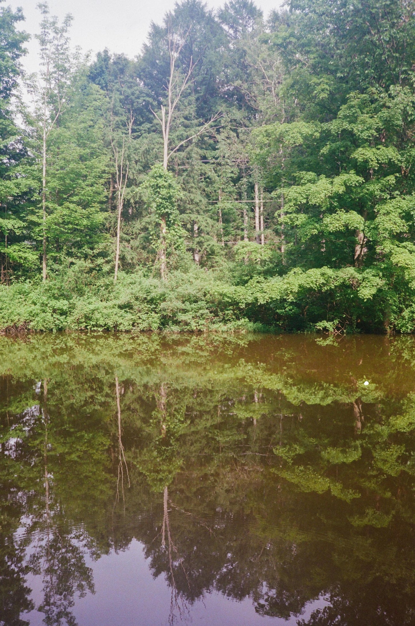 Yashica Electro 35 MC Rangefinder Film Camera | Tested, Sharp Lens, Green Light Issue (1973)